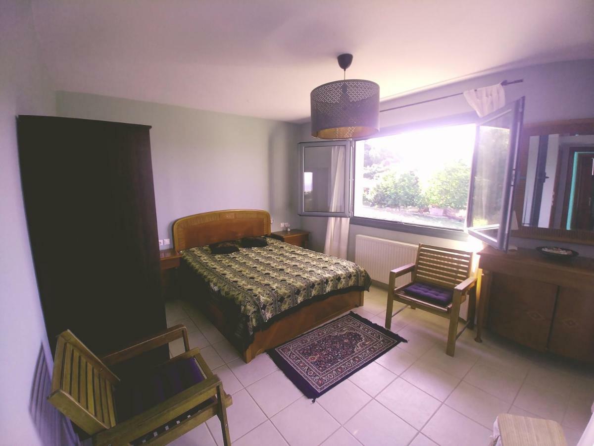 Villa Freebird Vip Bachelor Party & Wedding Events Pefkochori Extérieur photo